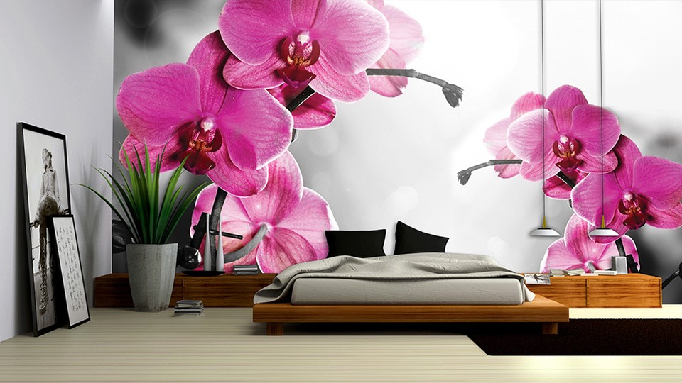  Photo wallpaper 1034P4   