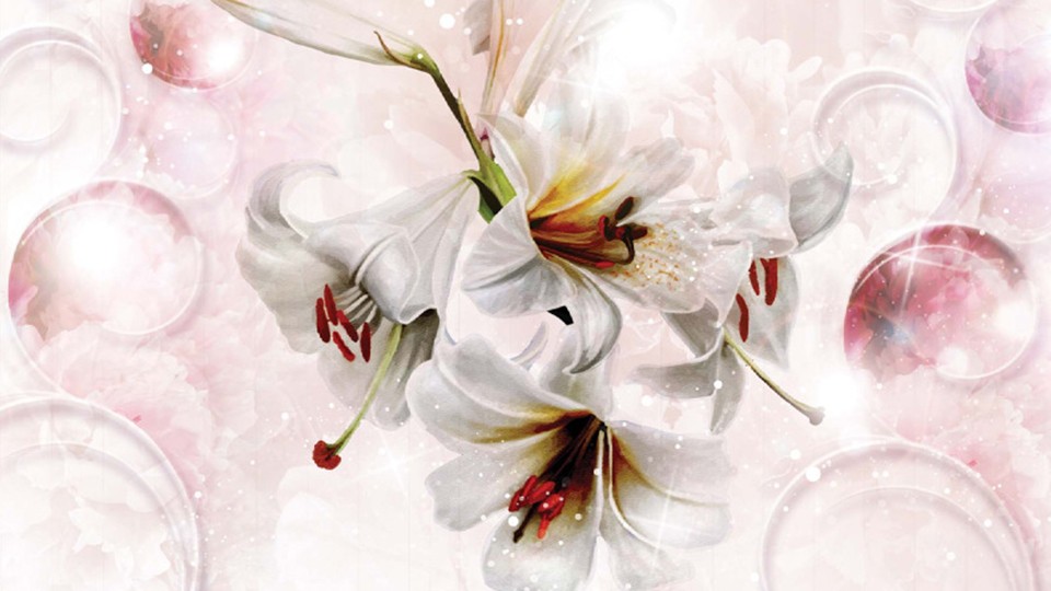  Photo wallpaper 3534P4   