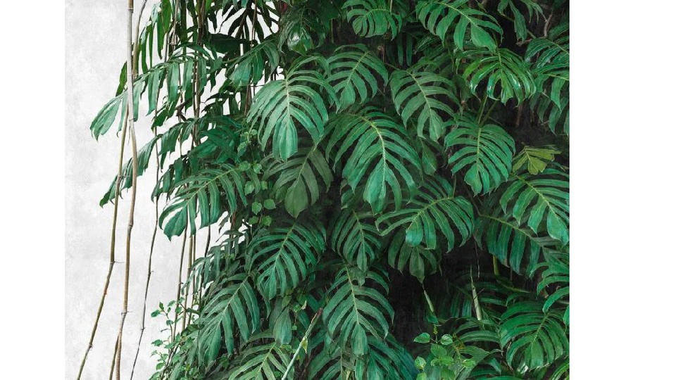 38241-1 15A THE WALL