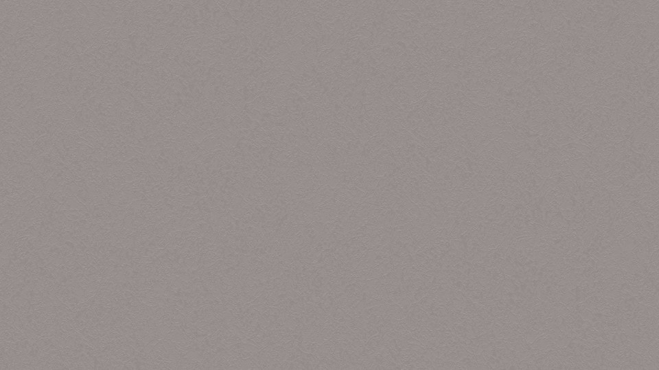 Wallpaper 251539 1G (10,05m/106sm) Vila