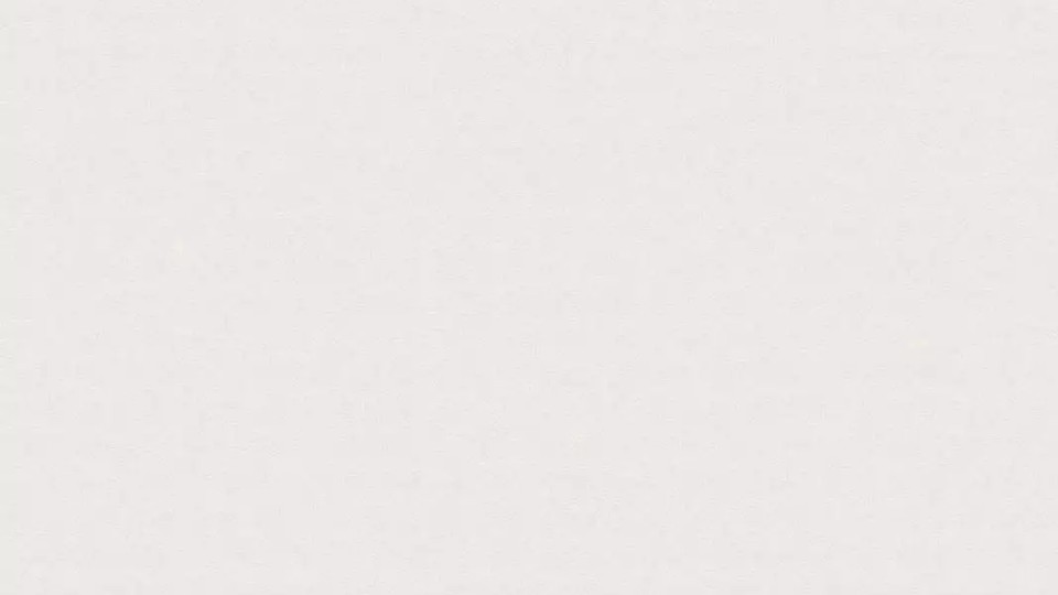 Պաստառ 78652-8 11A Elite of shades