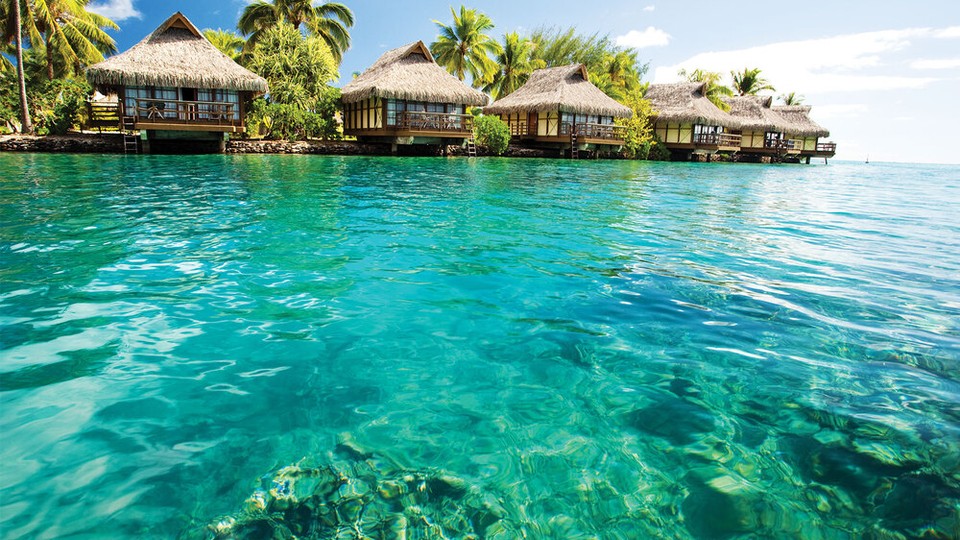  Ֆոտոպաստառ 224P8   