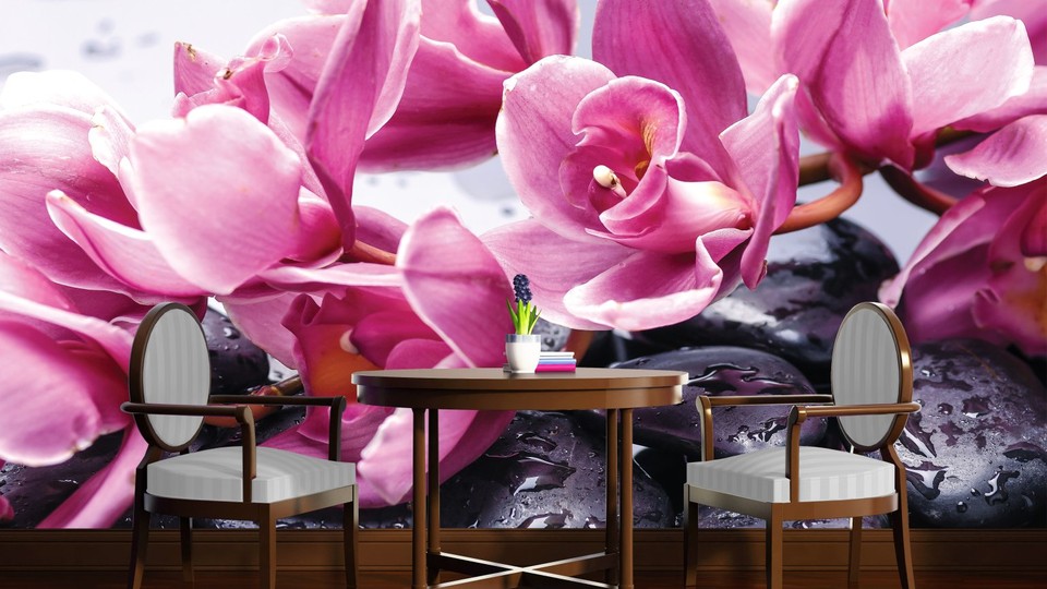  Ֆոտոպաստառ 1337P8   