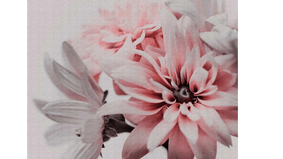 Ֆոտոպաստառ 38270-1 6A THE WALL