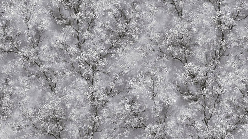 Wallpaper 37542-1 12A NW Sakura