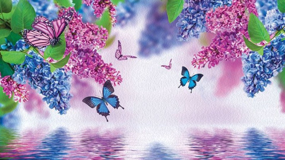  Photo wallpaper 1532P8   