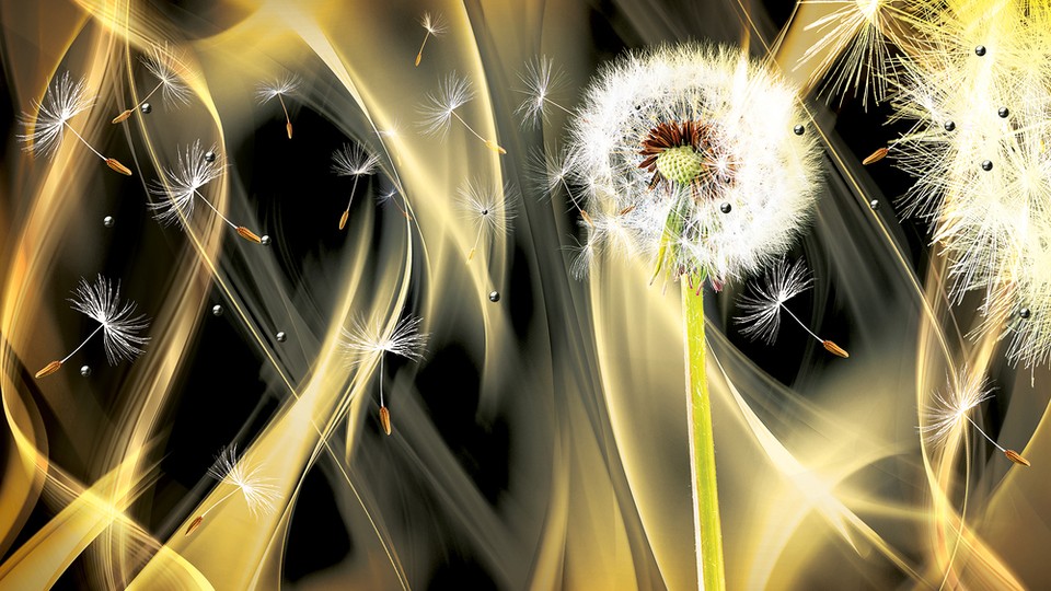  Photo wallpaper 2601P8   