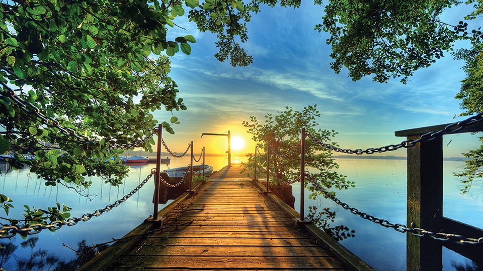  Photo wallpaper 2223P8   