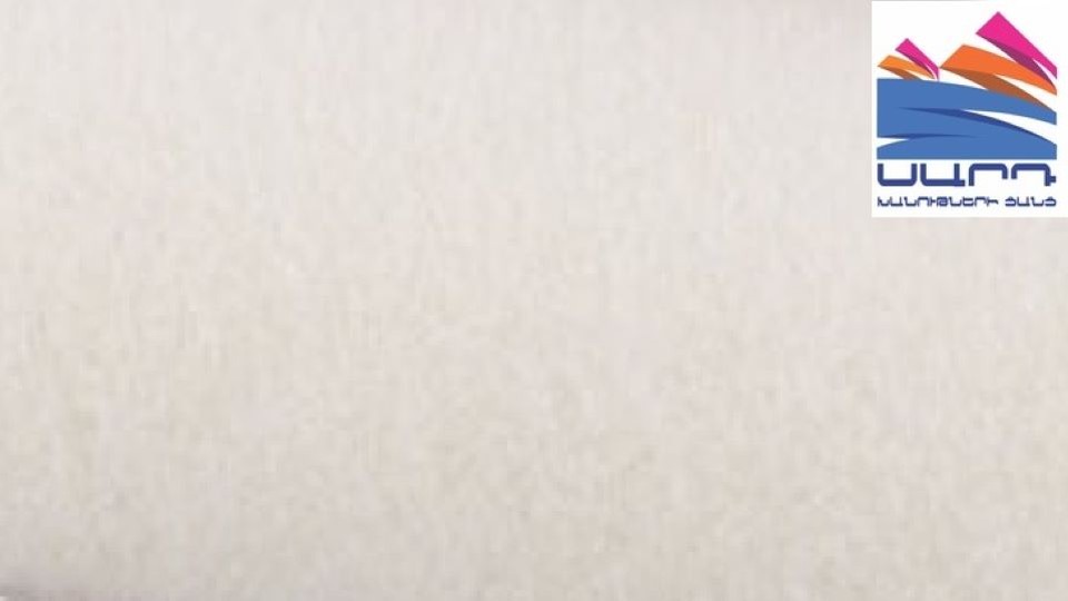 Минивалик велюр с ручкой Handmaler 15х100мм 270мм