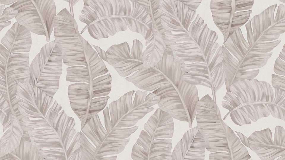 Օбои 445419 5A Sumatra