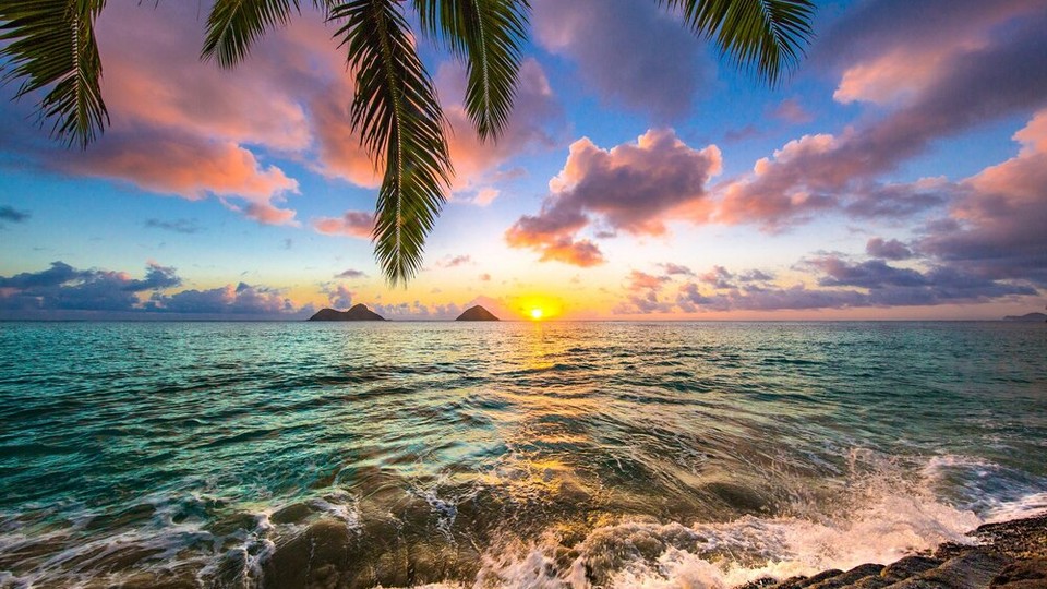  Photo wallpaper 11748P4   