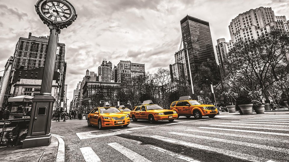  Photo wallpaper 1171P8   