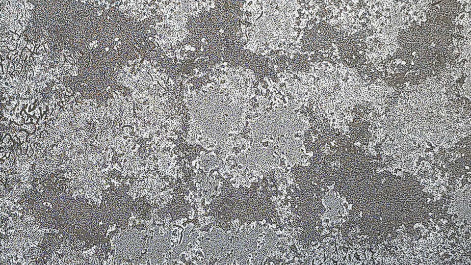 Wallpaper AK2108 E2116  Crystal Ice