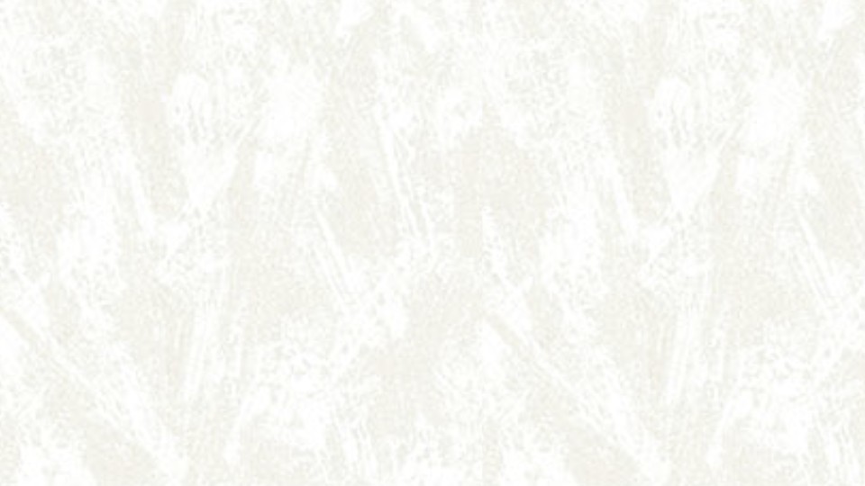 Պաստառ HK66301(1,06м/10.05м)Bellissimo Milano-2