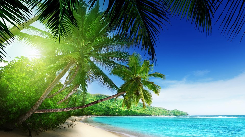  Photo wallpaper 736P8   