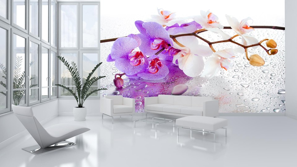  Photo wallpaper 869P8   