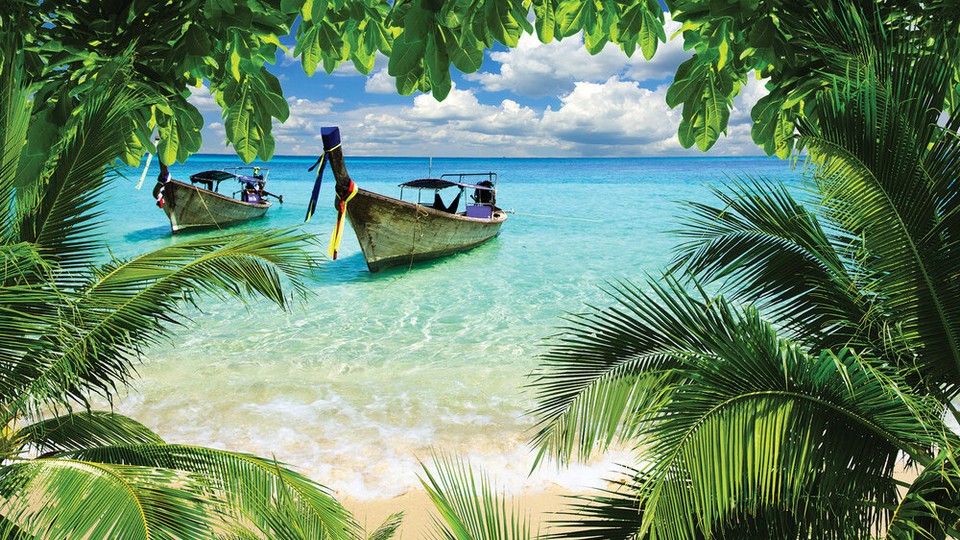  Photo wallpaper 225P4   