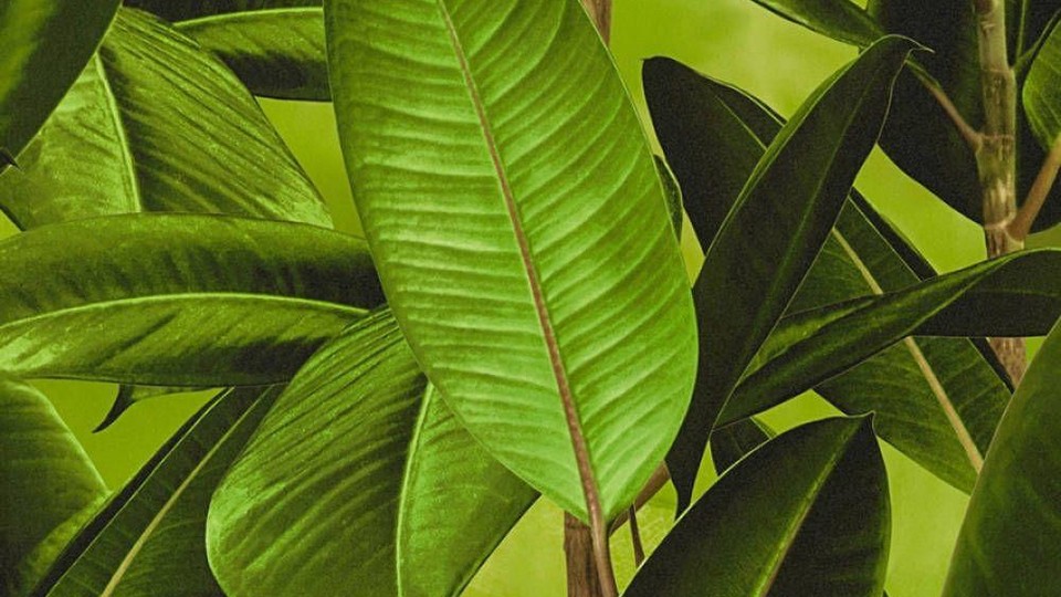 Обои 36201-1 10A Bude 2.0