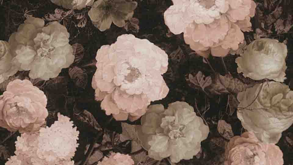 Պաստառ 37650-4 5A  History of Art