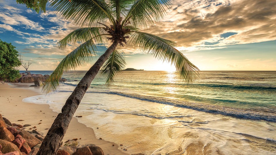  Photo wallpaper 11732P4   