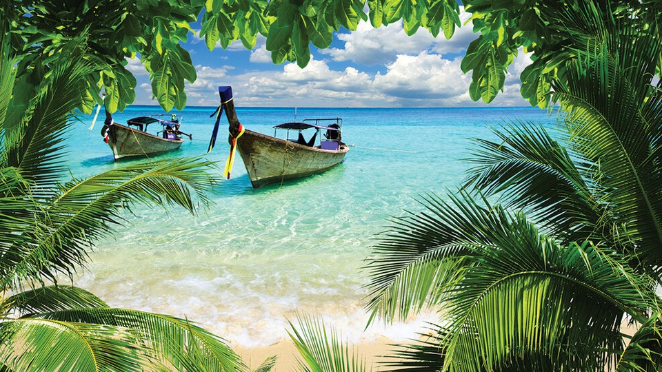  Photo wallpaper 2223P8   