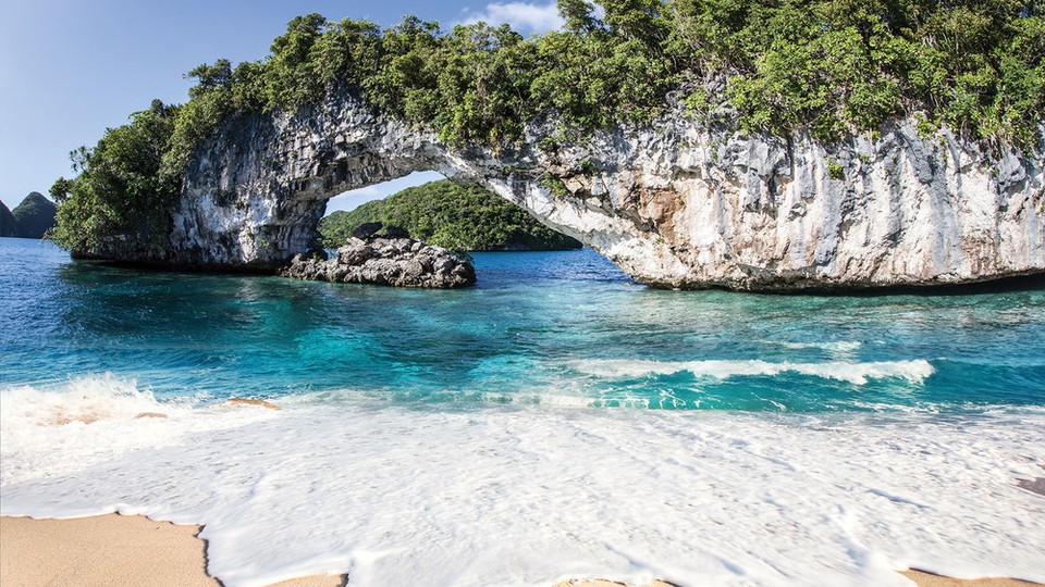  Ֆոտոպաստառ 11236P8   