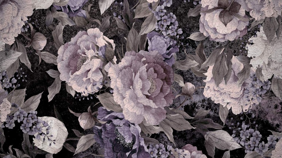  Photo wallpaper 13546P8   