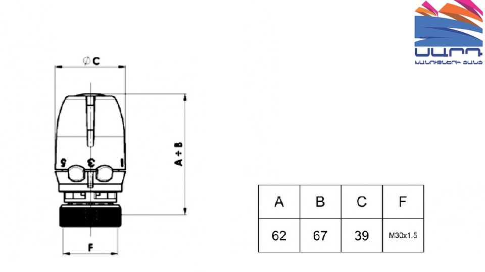 Thermostatic head TT 211