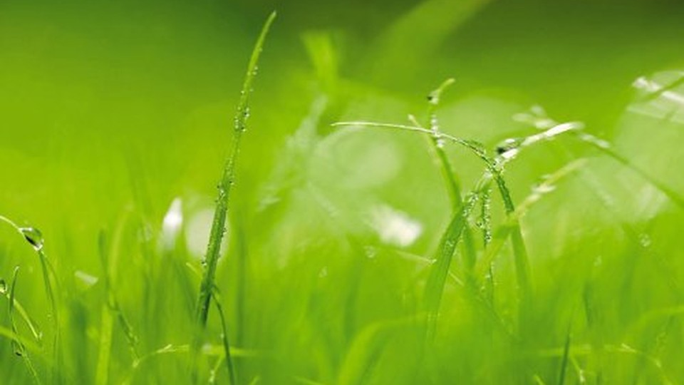  Ֆոտոպաստառ 8-886  