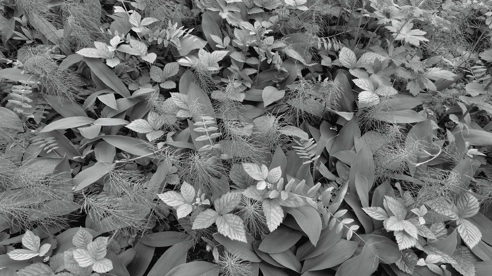  Photo wallpaper 8-914  