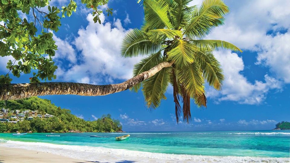  Photo wallpaper 10332P4   