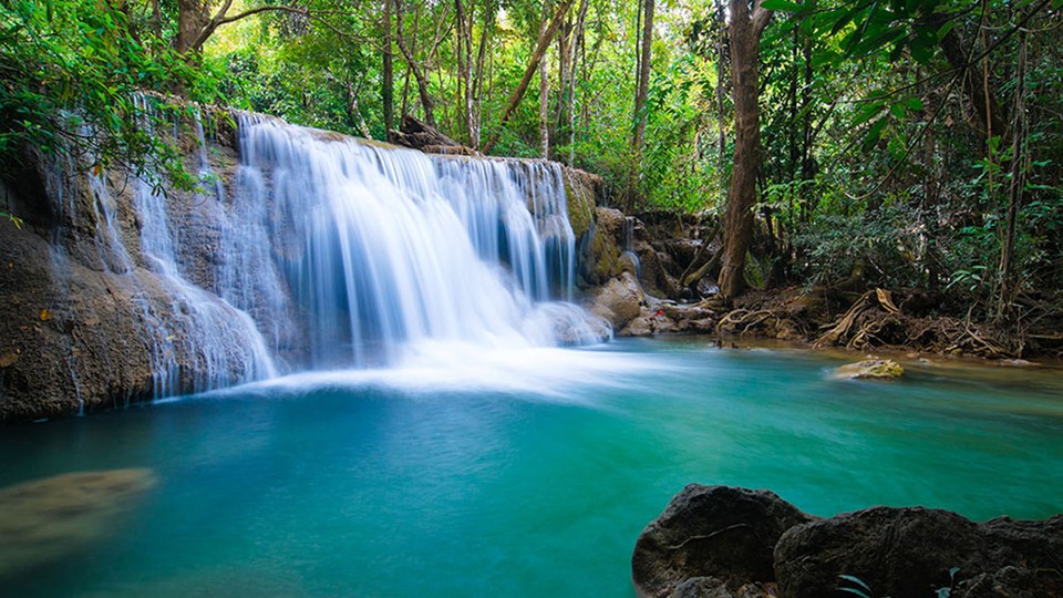  Photo wallpaper 11893P4   