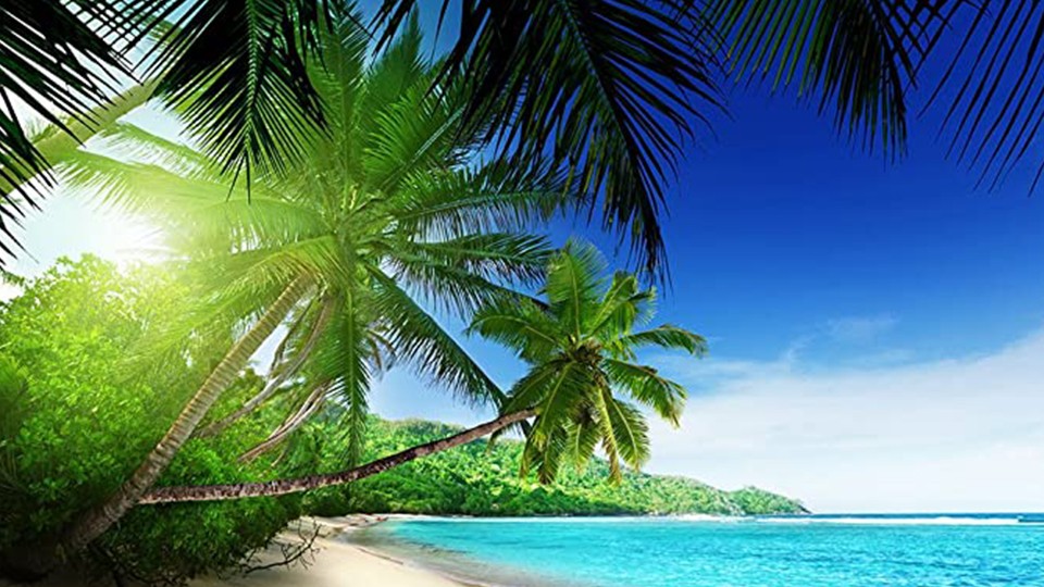  Photo wallpaper 736P4   