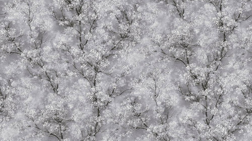 Обои 37542-1 12A NW Sakura