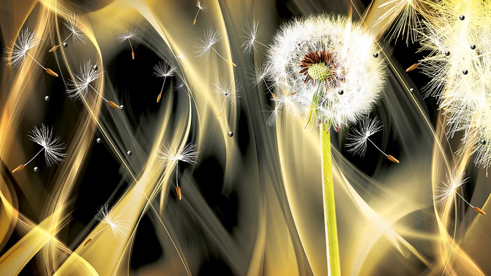  Photo wallpaper 2601P8   