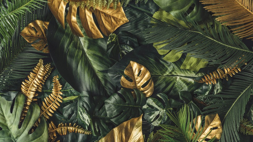  Ֆոտոպաստառ 13803P8   