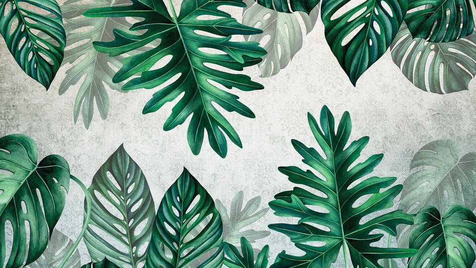  Photo wallpaper 13784P4   