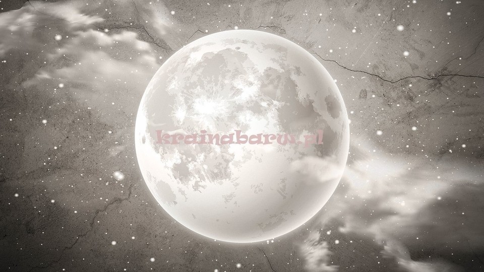  Photo wallpaper 13575P8   