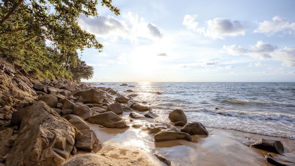  Photo wallpaper 13306P4   