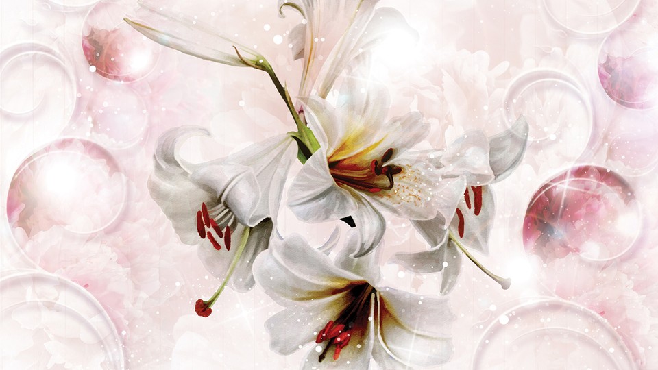  Фотообои 3534P4 