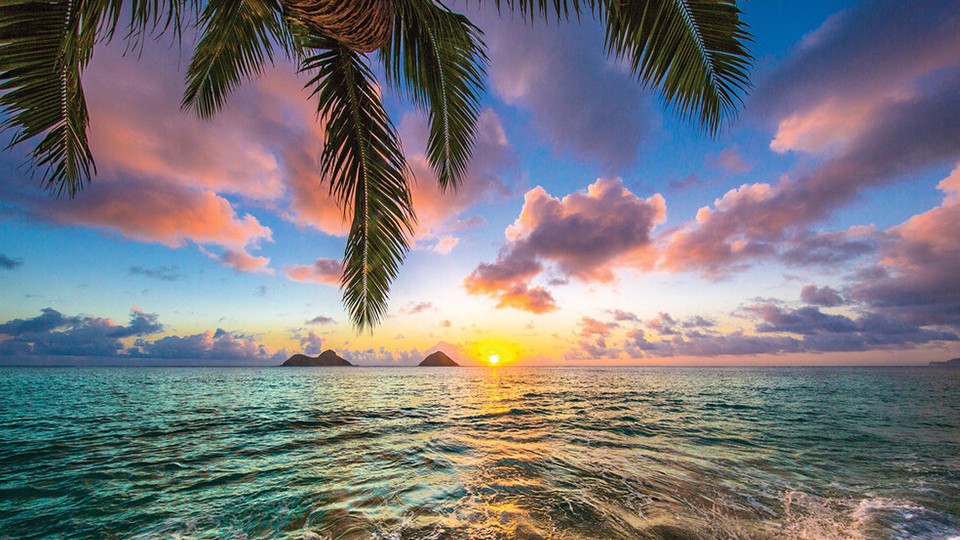  Photo wallpaper 11748P4   